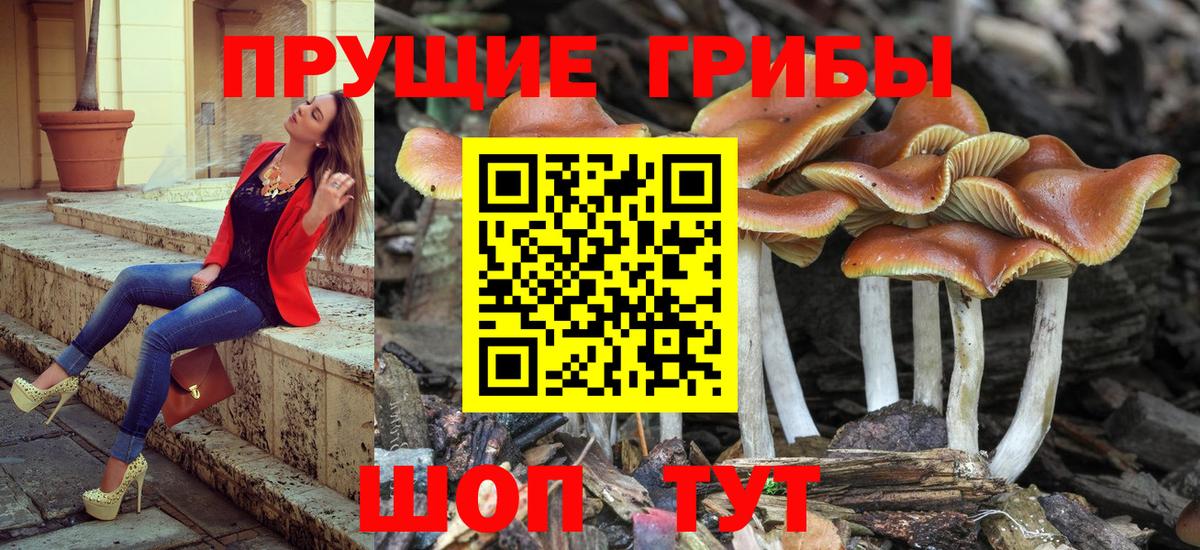 Псилоцибиновые грибы GOLDEN TEACHER  Галлюциногенные грибы мухоморы  Богородск  Вход с VPN 